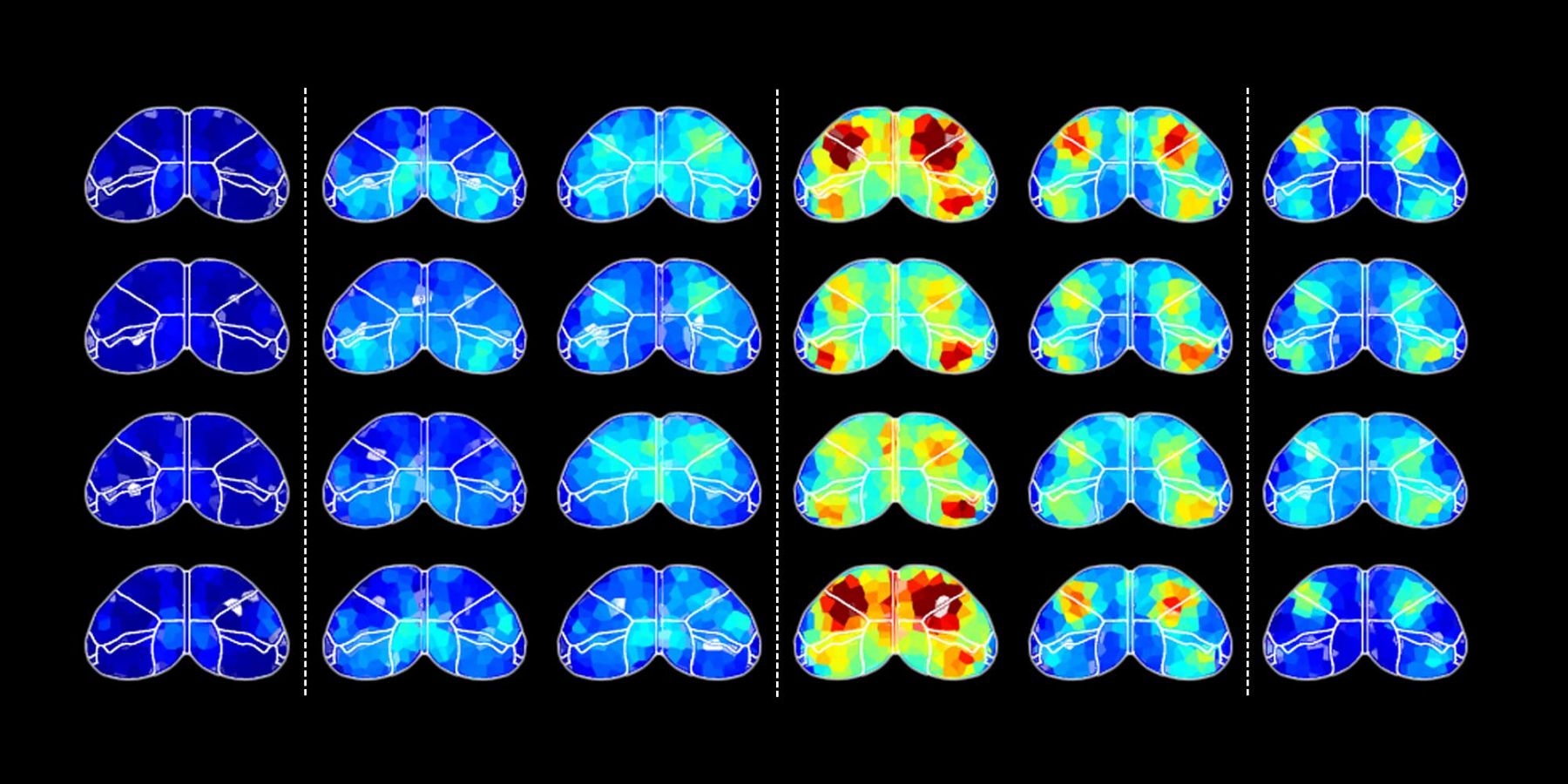 Dynamical Neuroscience | UCSB Neuroscience | UC Santa Barbara